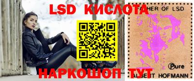 Альфа ПВП Можга