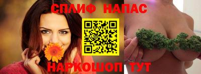 Альфа ПВП Можга