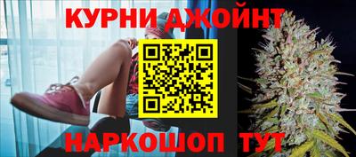 Альфа ПВП Можга