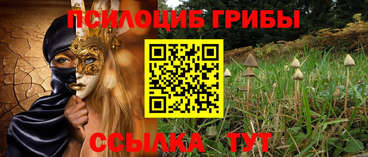 Галлюциногенные грибы GOLDEN TEACHER Стрежевой